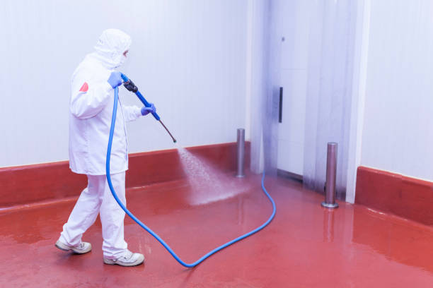 Best Sidewalk and Walkway Cleaning  in Breezy Point, MN